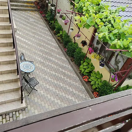 בית הארחה Casa David&alexia Două Mai