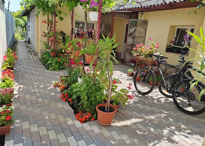 Casa David&alexia Affittacamere Două Mai