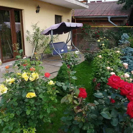 Casa David&alexia Vendégház Două Mai