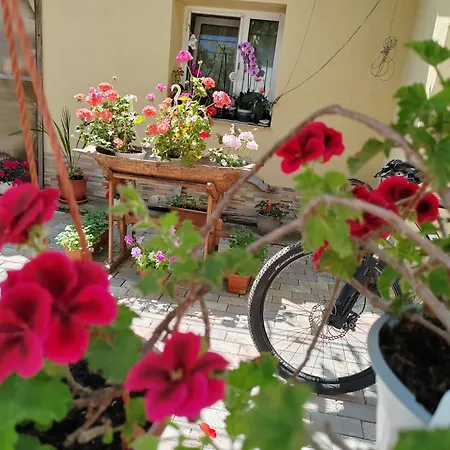 Casa David&alexia 3*