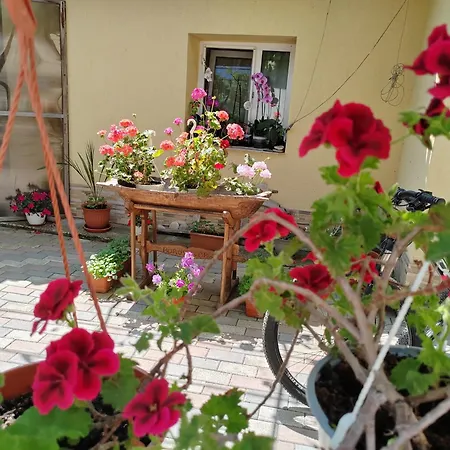 Casa David&alexia Două Mai