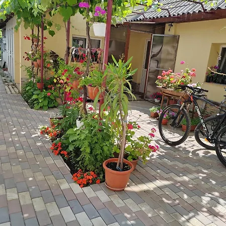 Casa David&alexia Vendégház Două Mai