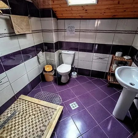 Vendégház Casa David&alexia