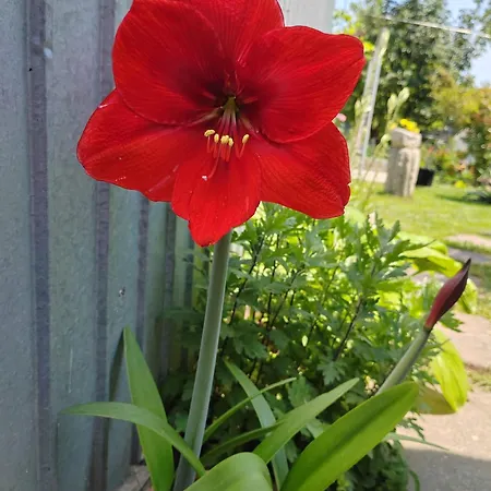 Casa David&alexia 3*