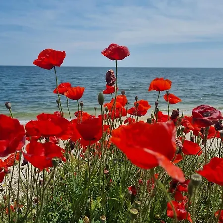 Vendégház Casa David&alexia Două Mai